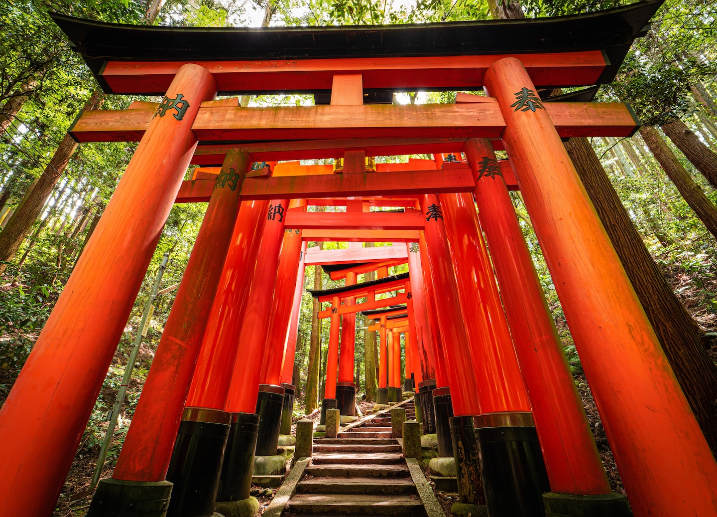 Osaka blends ancient Sumiyoshi Shrine with neon shopping districts.