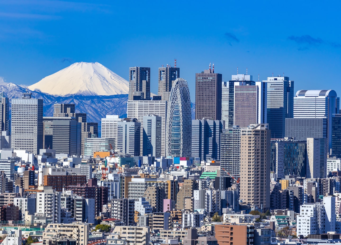 Shinjuku’s skyline rises above Tokyo with tall towers glowing against a soft evening sky. - Tokyo, Japan