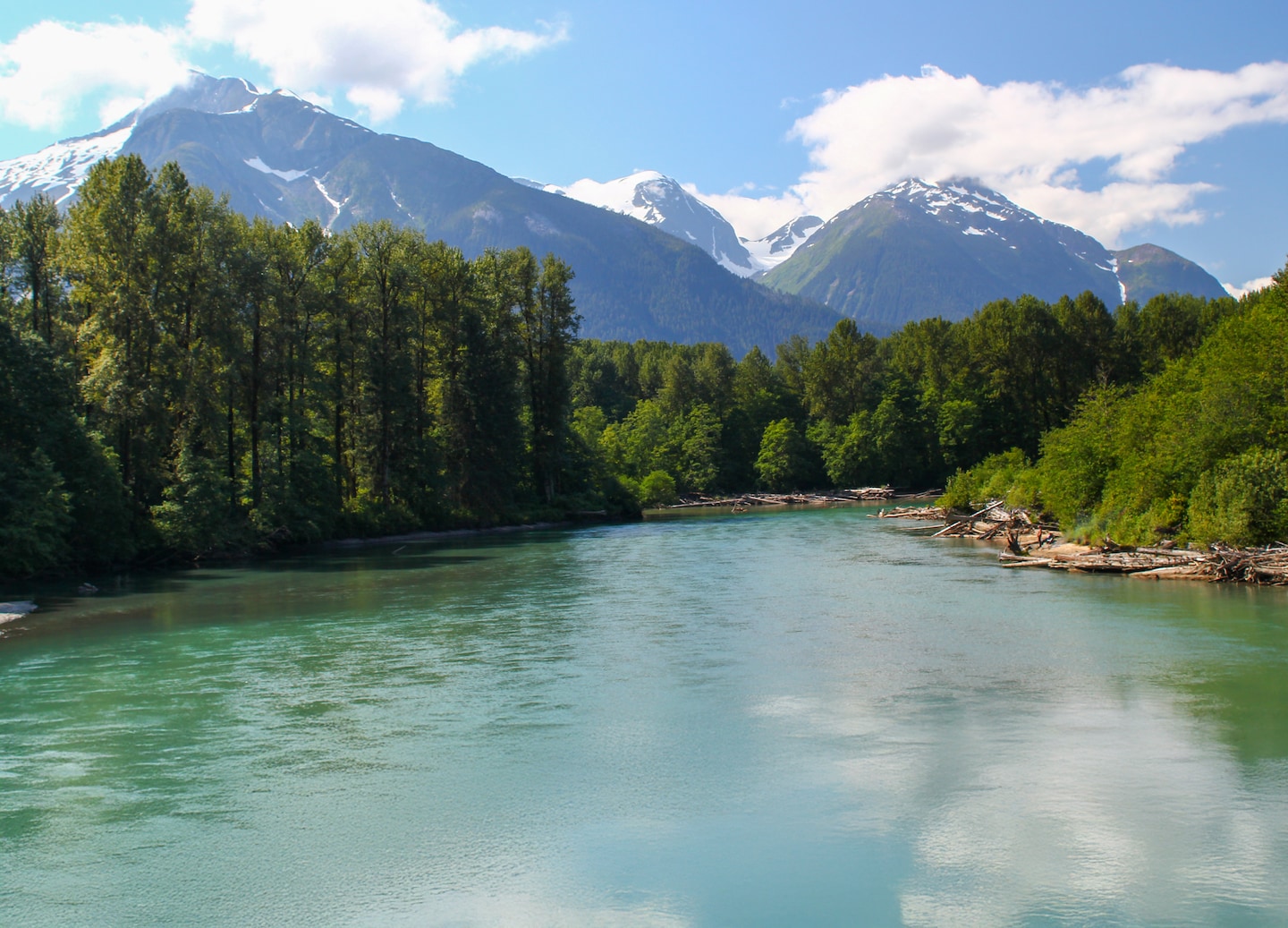 Wide Skeena River flowing between forested mountains under soft light. - Prince Rupert, British Columbia