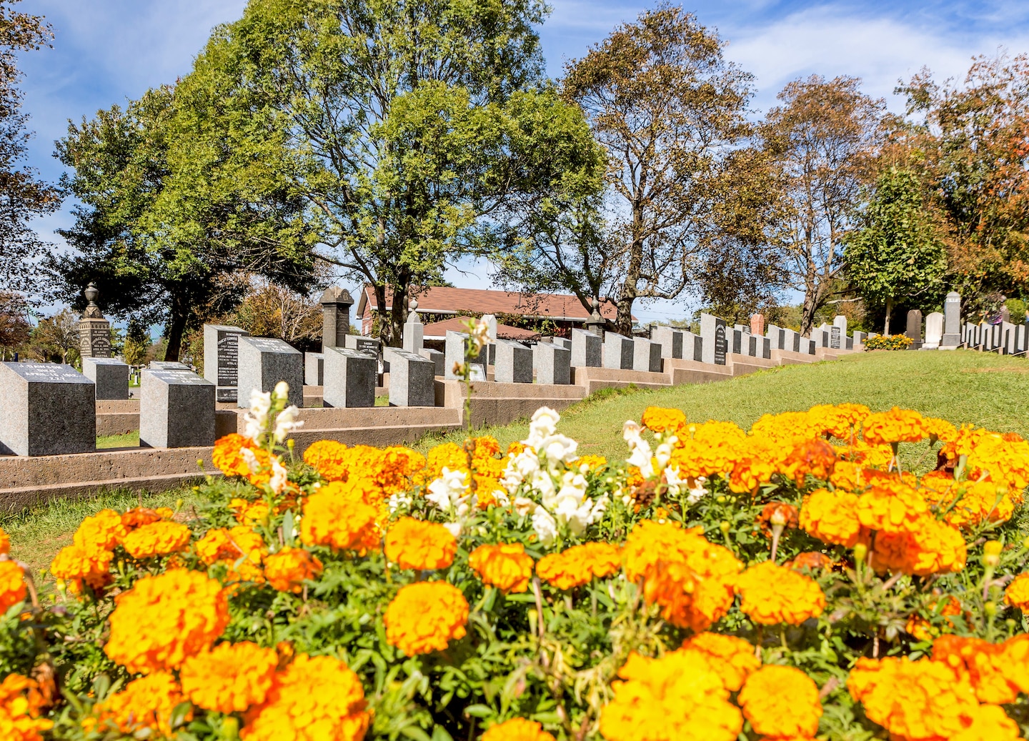 Headstones at Halifax’s Fairview Lawn Cemetery mark Titanic victims. - Halifax, Nova Scotia