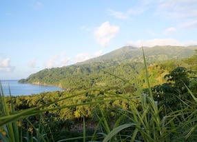 svd kingston st vincent grenadines soufriere volcano