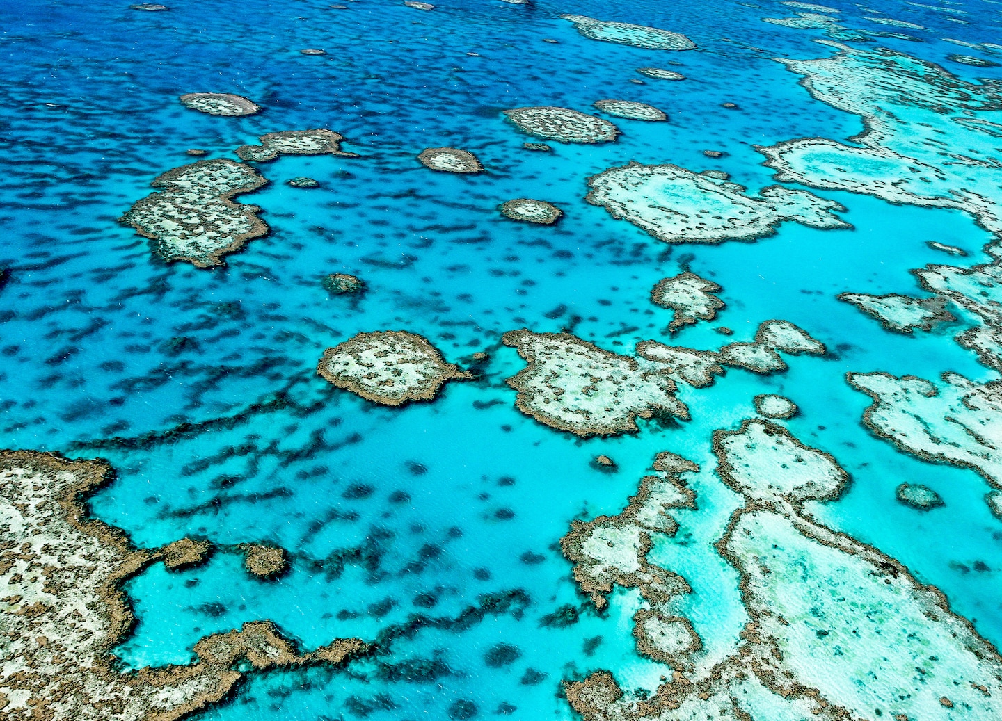 Snorkel, explore, and relax at a floating reef pontoon with Coral Sea views. - Airlie Beach, Qld, Australia