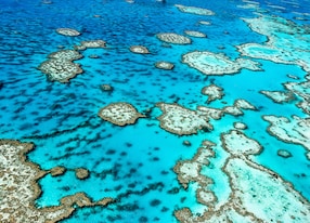 the great barrier reef in queensland australia