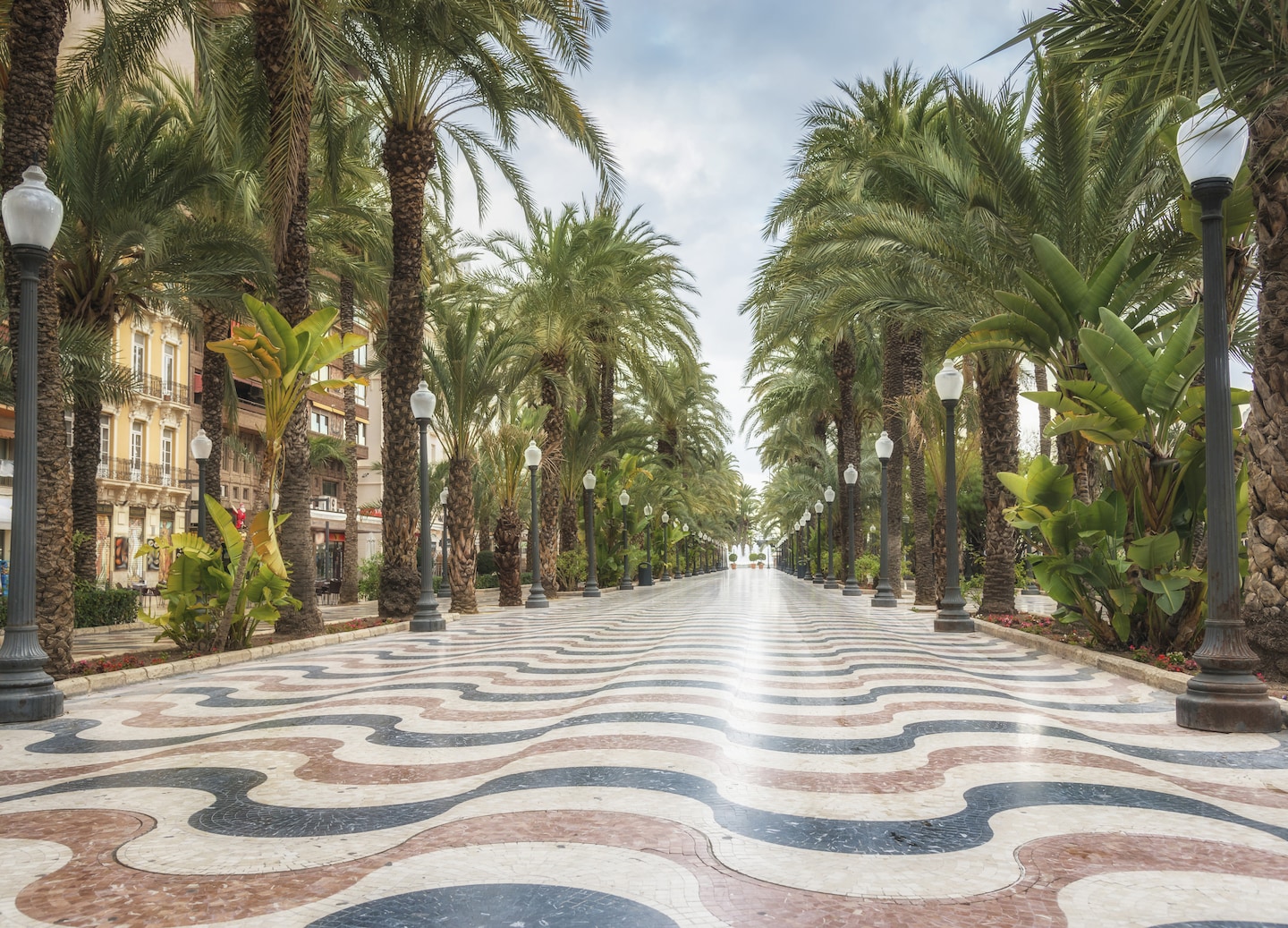 A palm‑lined Explanada promenade curves along patterned tiles beside the bright Mediterranean waterfront. - Alicante, Spain