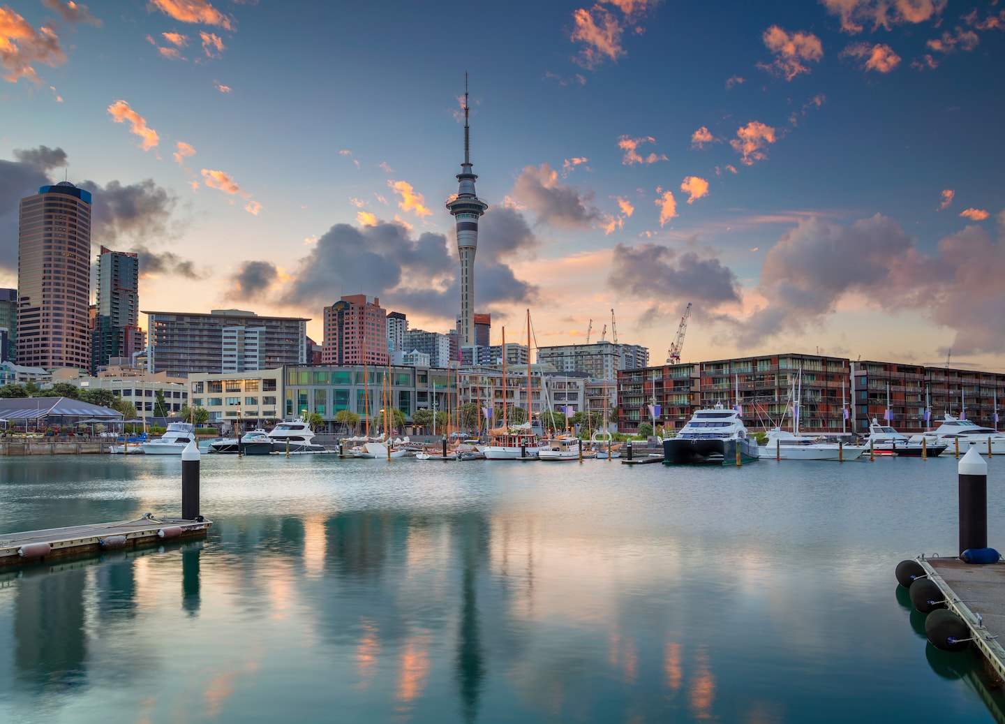 Auckland skyline at sunrise with Sky Tower above Viaduct Harbour. - Auckland, New Zealand