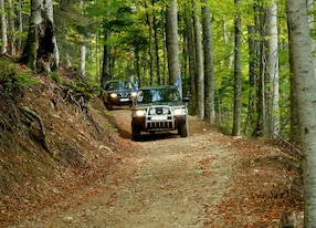 Jeep Safari Jeeps Dirt Road