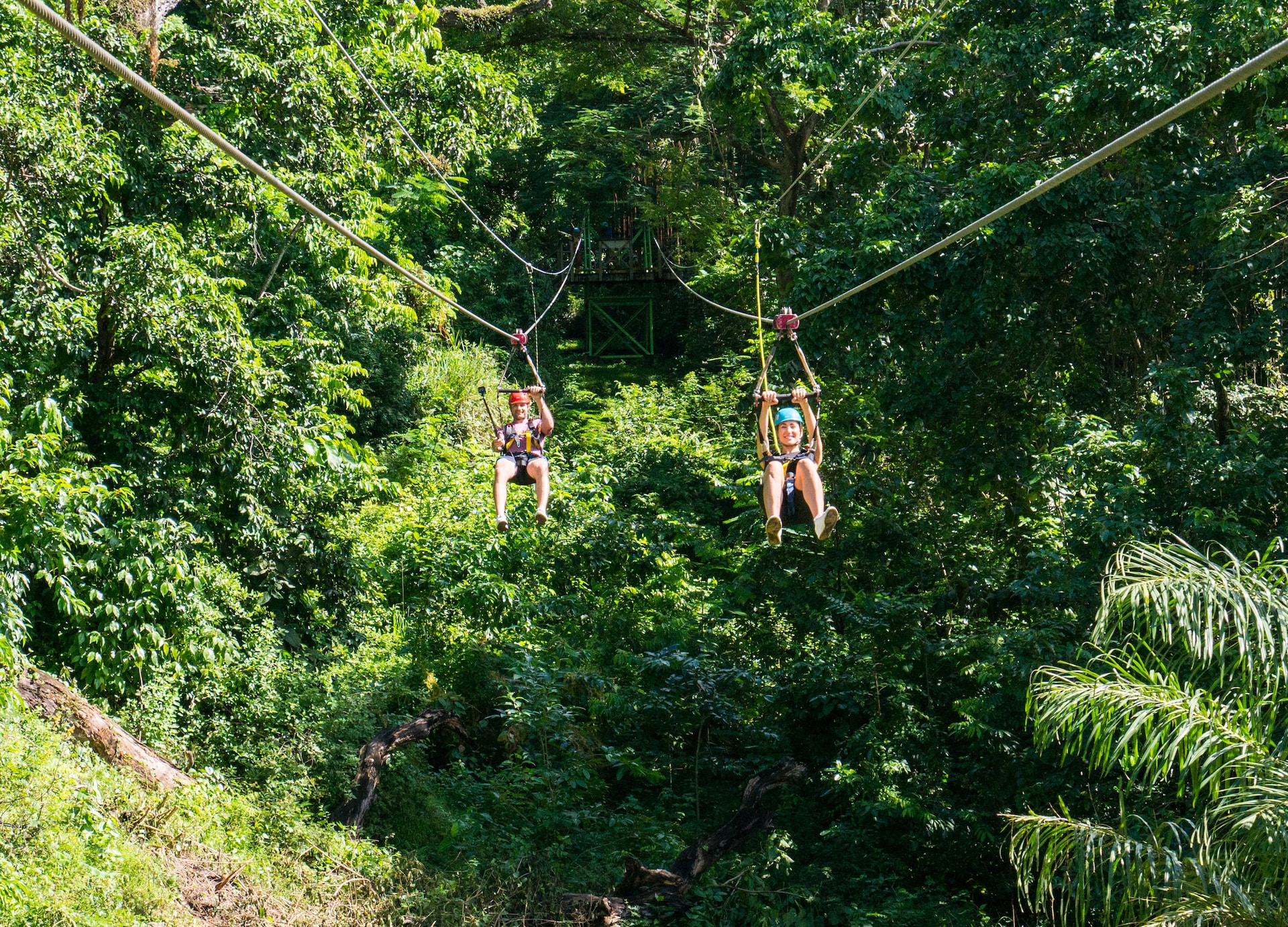 man woman going down zipline in forest nature