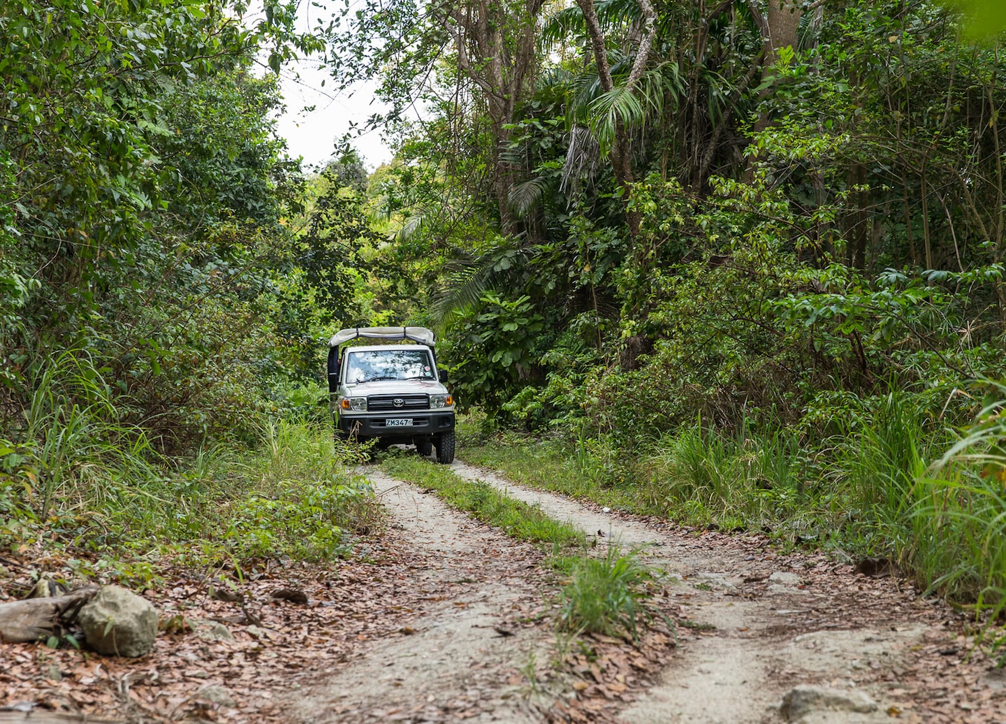 Embark on a Land Rover rainforest safari, with mountain views, cultural village stops, and beach relaxation. - Basseterre, St Kitts & Nevis