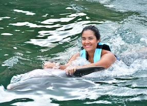 St Kitts Dolphin Swim and City Tour Holding Dolphin