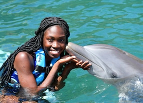 St Kitts Dolphin Encounter and City Tour Dolphin Kiss