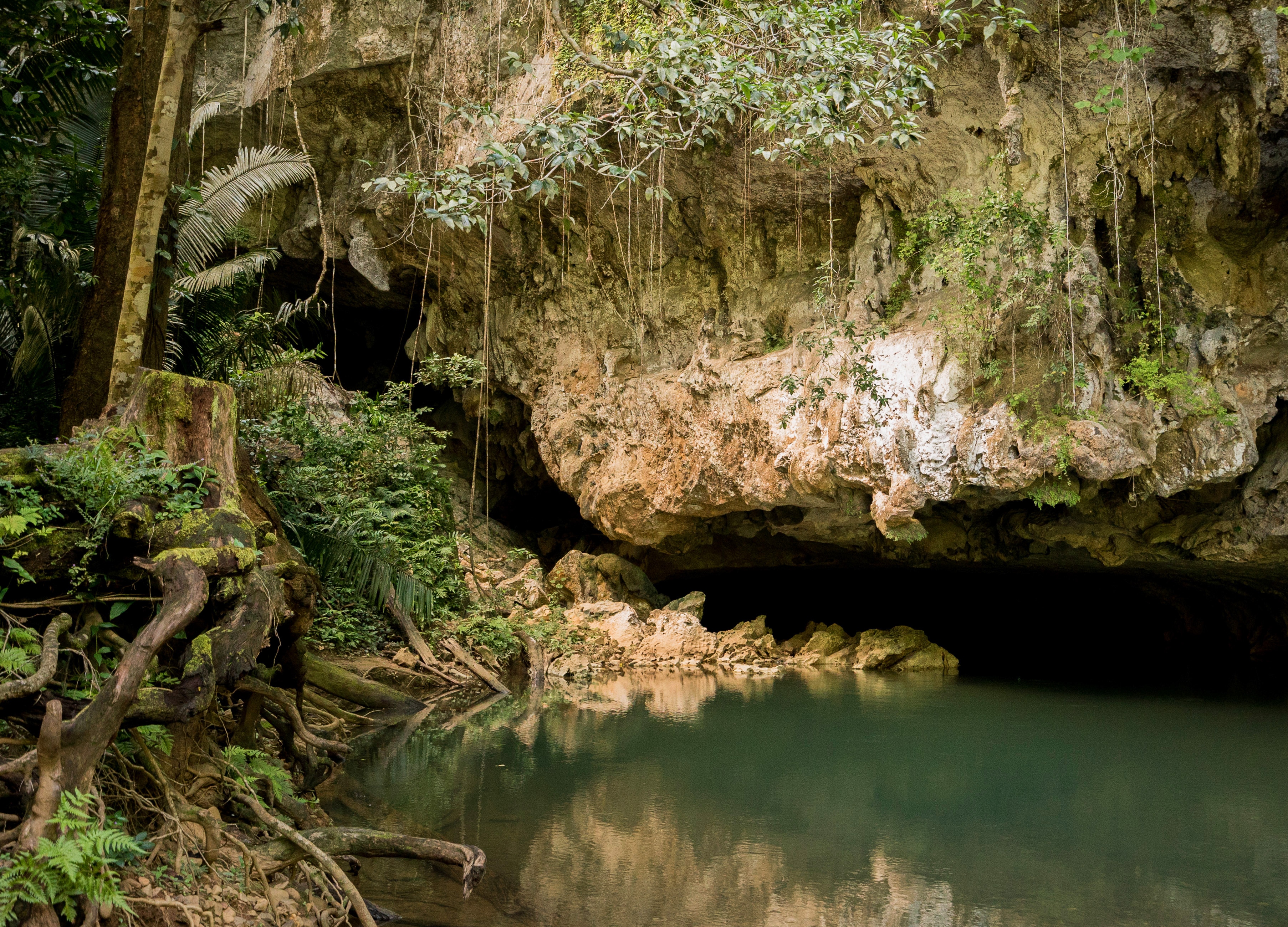 Underground sea 、Tropical、Bayou Cave Tubing Excursions in Belize City