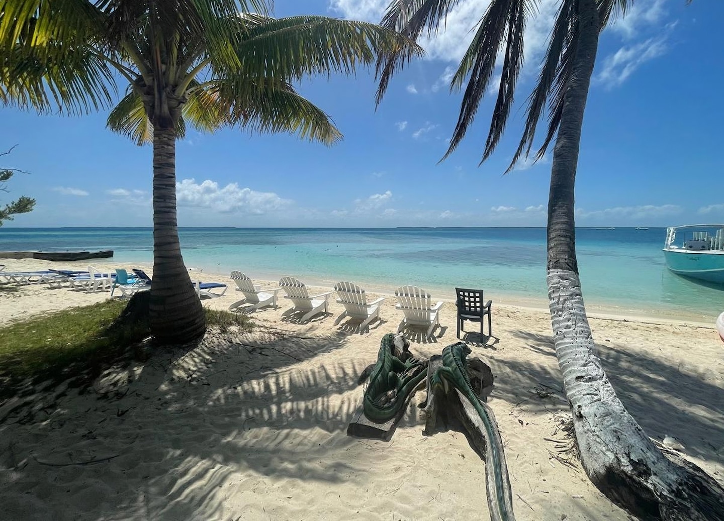 Snorkelers glide through clear turquoise water off Rendezvous Caye. - Belize City, Belize