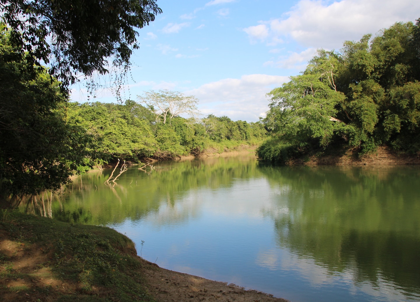 Take this scenic river cruise through Belize’s lush habitats, spotting diverse wildlife. - Belize City, Belize