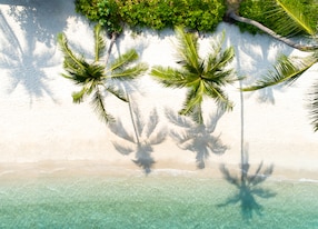 top view aerial drone shot of beautiful white sand beach with green coconut trees and crystal clear