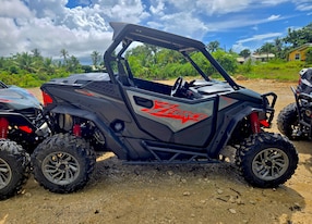 Off Road Fury Buggy Experience