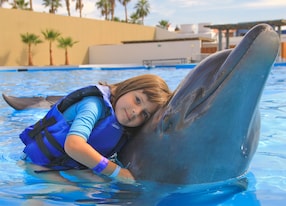 Dolphin Encounter San Jose Child Hugs Dolphin