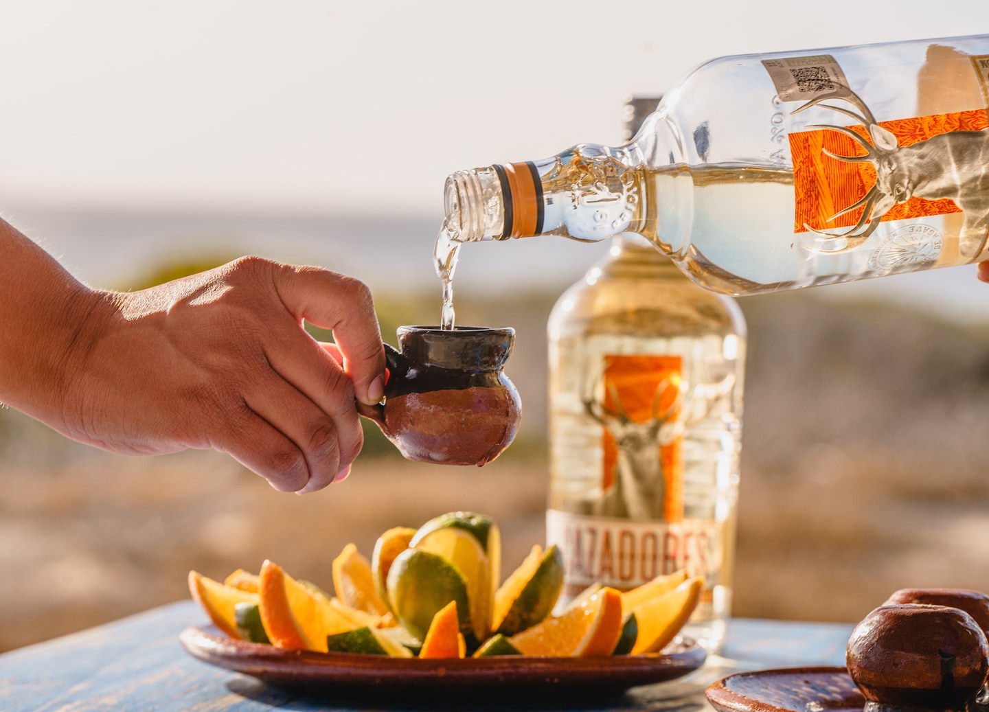 Taste and shop for authentic Mexican tequila in Cabo, featuring exclusive premium brands and tours. - Cabo San Lucas, Mexico