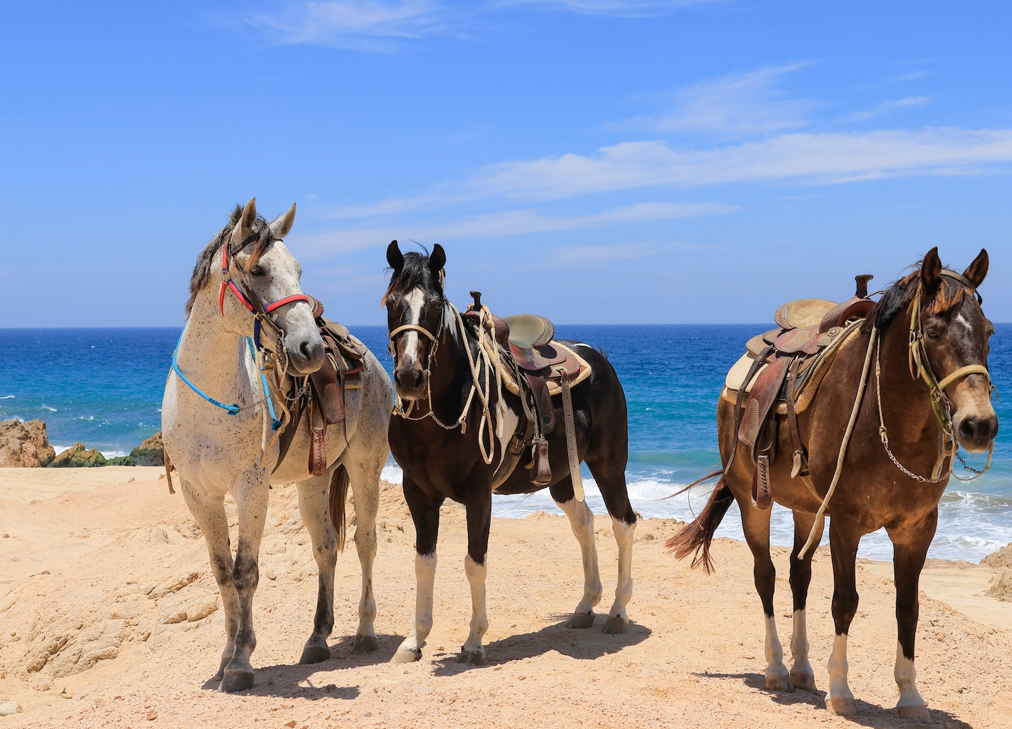 Three horses walk along a sandy trail at sunset. - Cabo San Lucas, Mexico