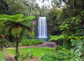 millaa millaa falls