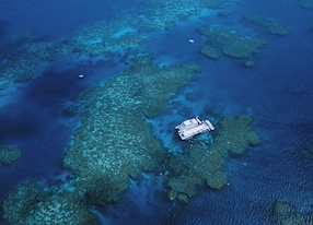 great barrier reef from above bird eye view boat boats catamaran in water blue ocean