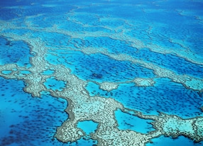 hdy hardy reef great barrier reef port queensland australia water blue ocean stunning