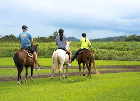 group horseback riding guide trail