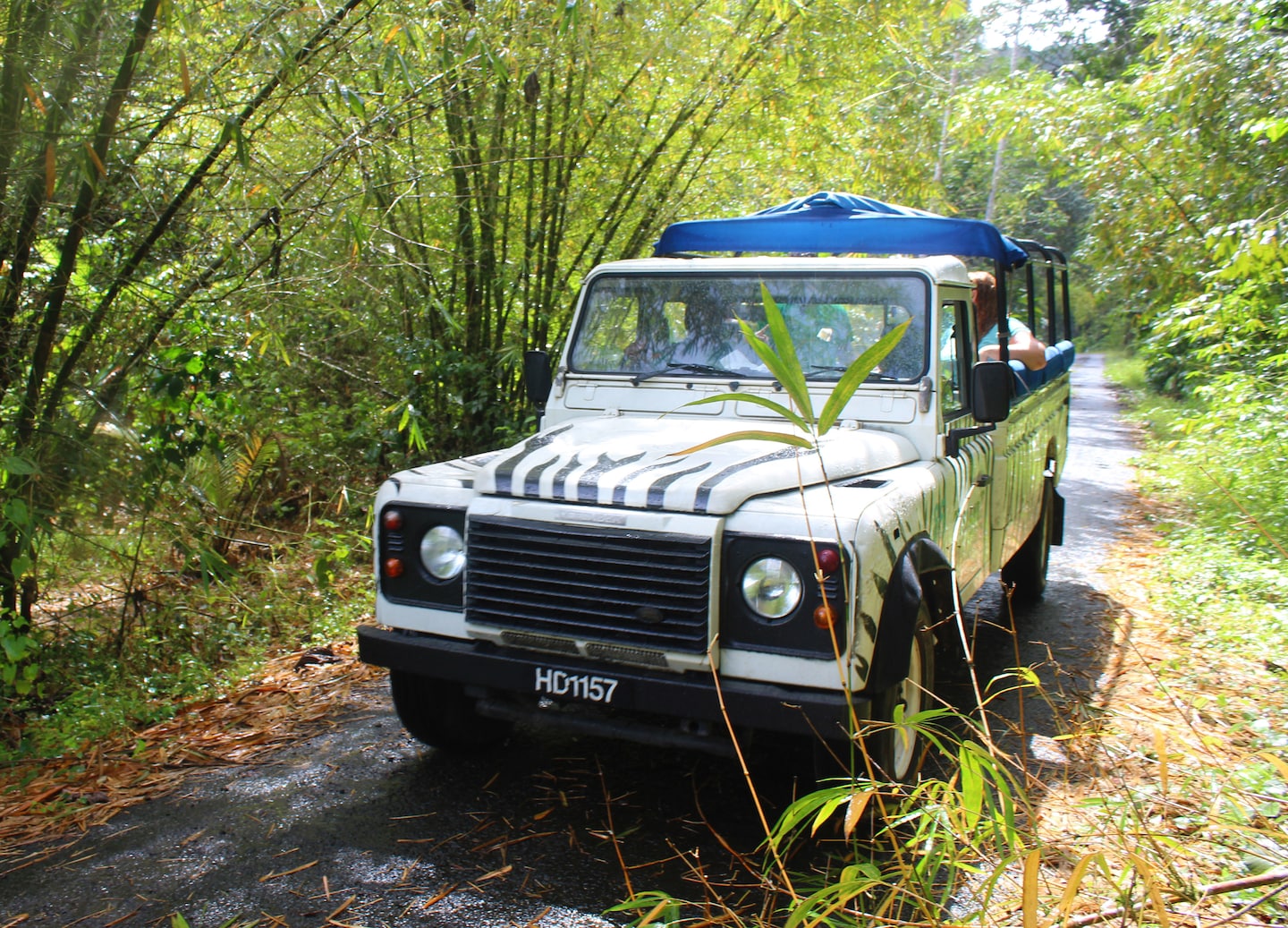 Thrilling open-back Jeep ride visiting Anse La Raye, waterfalls, and beach. - Castries, St. Lucia