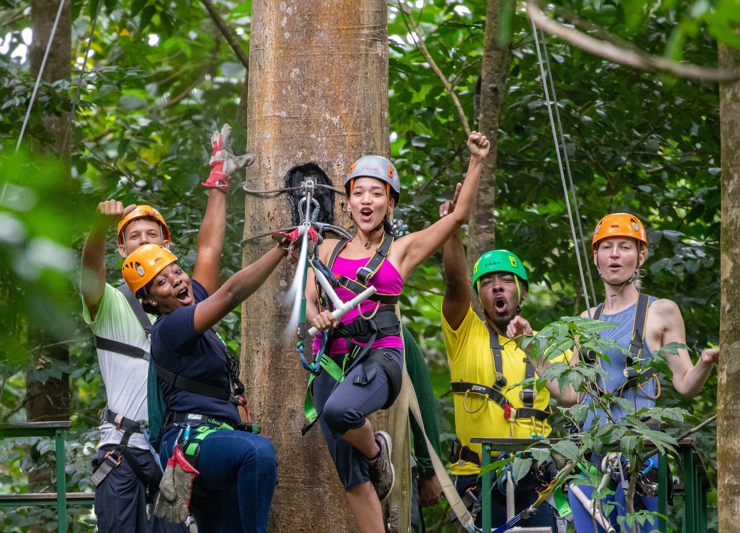 People ziplining through lush rainforest canopy on aerial adventure course. - Castries, St. Lucia