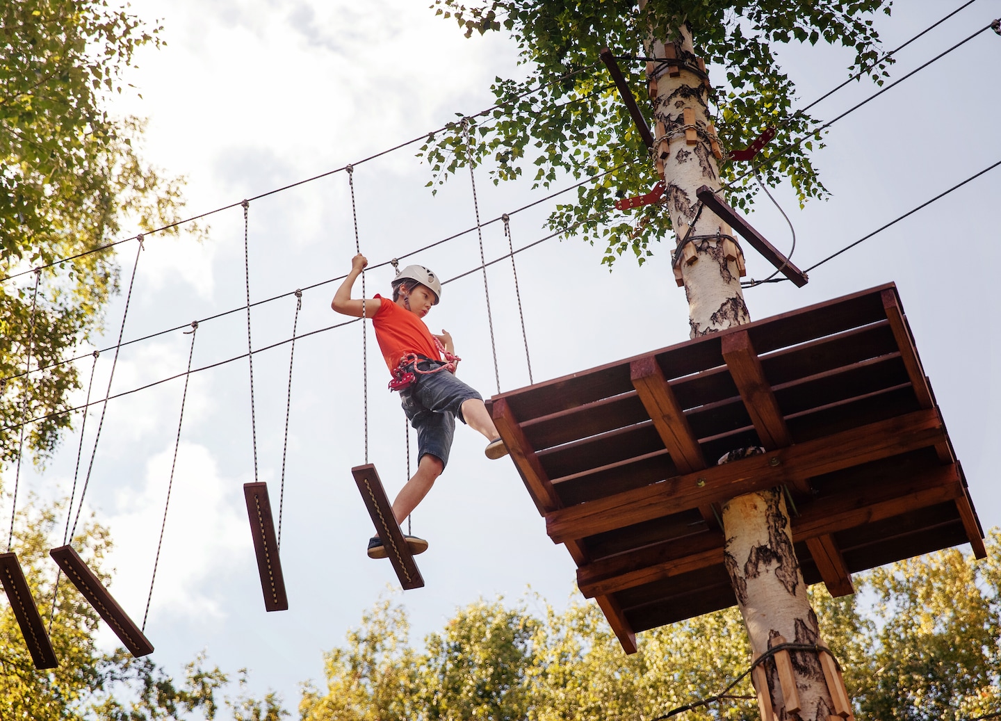 Explore above Catalina’s canyons on a thrilling aerial adventure. - Catalina Island, California 