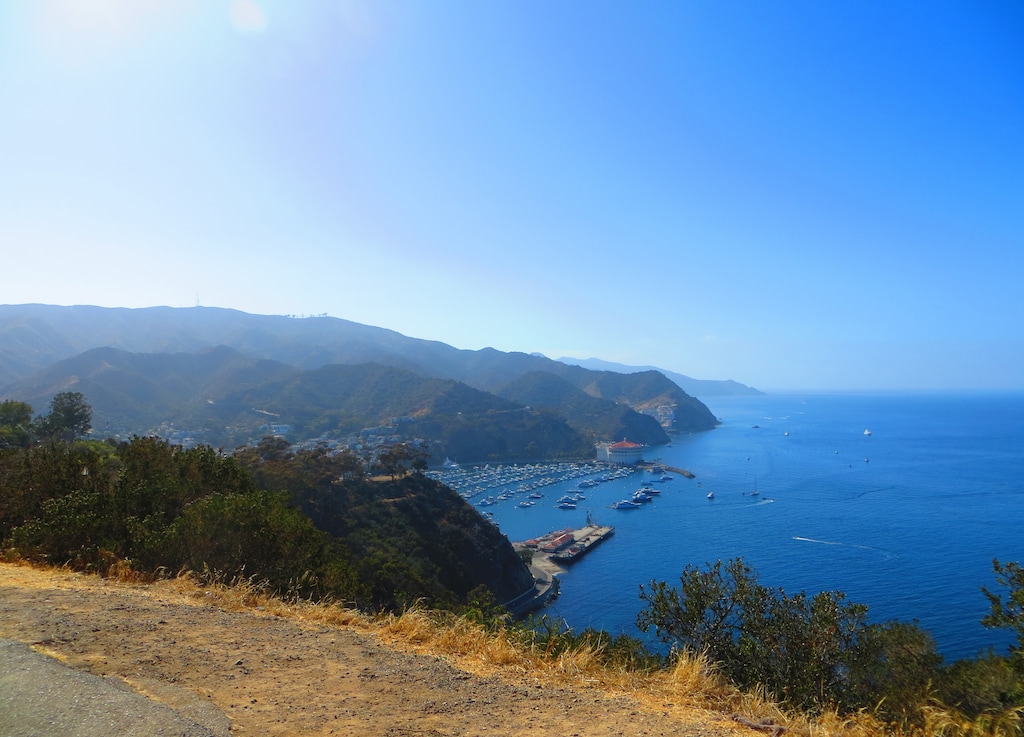 The Best Time to Visit Catalina Island: A Seasonal Guide
