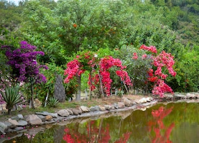 Chania Botanical Park Chania Town Image