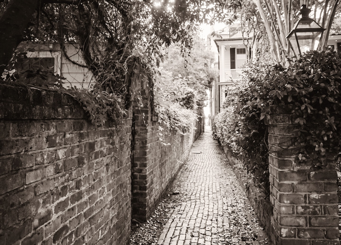 Ghost tour walkway in Charleston illuminated with eerie shadows. - Charleston, South Carolina