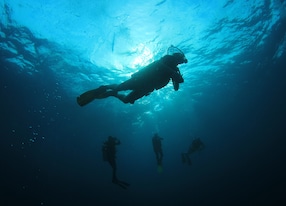 scuba divers diving