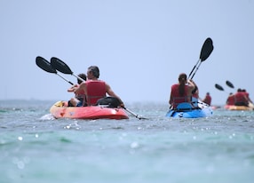 group kayaking ocean