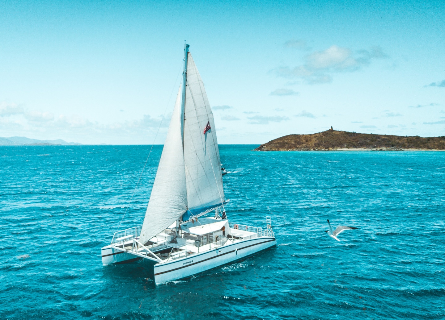 Enjoy scenic catamaran sail, snorkeling vibrant reefs, and relaxing return with refreshing drinks onboard. - Basseterre, St Kitts & Nevis