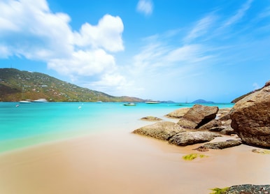 Amazing Magens Bay Snorkeling with Sea Turtles beach