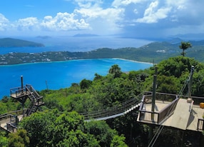 Tree Limin Extreme Zipline Adventure