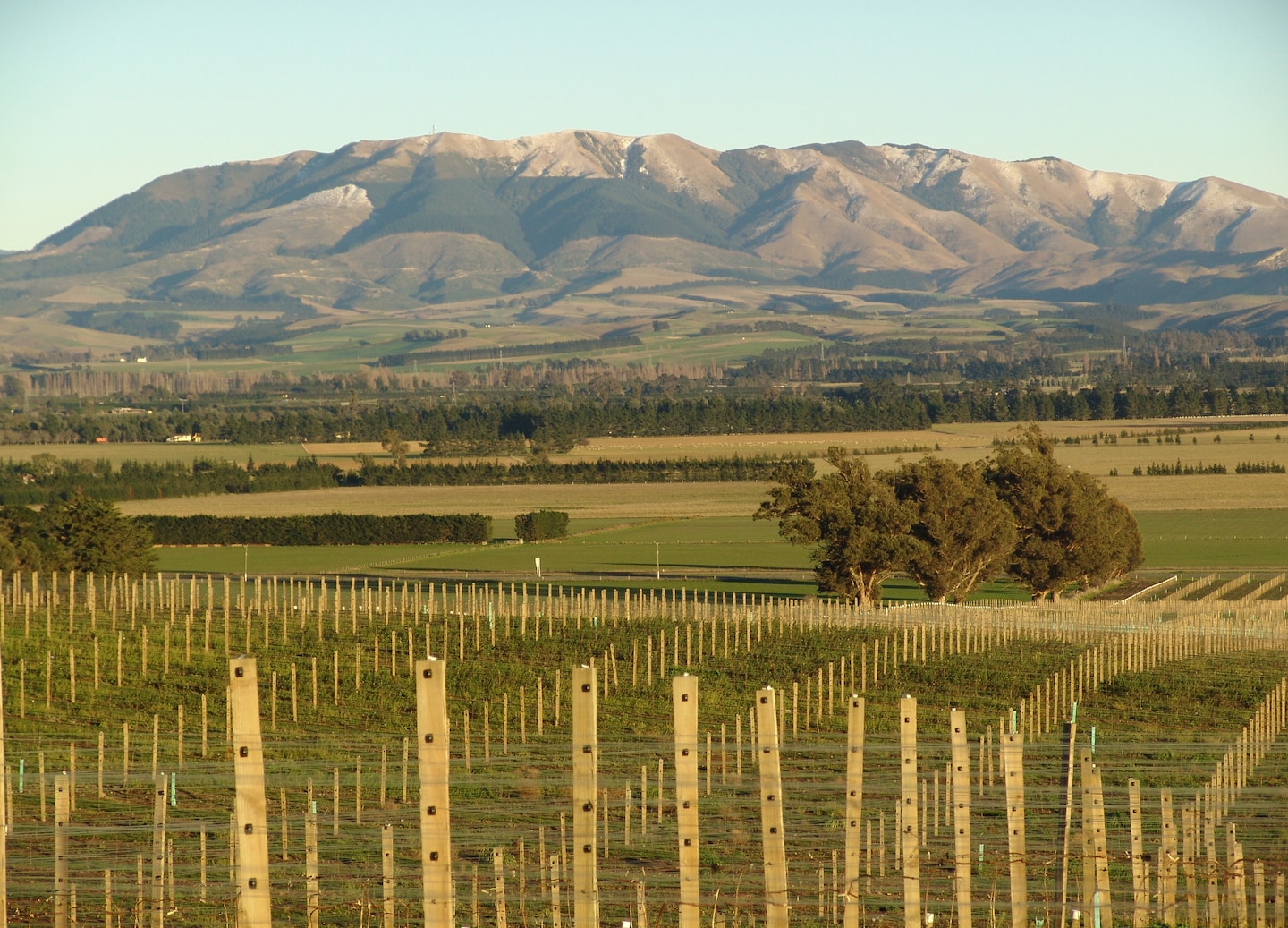 Taste wines and local foods at boutique vineyards in Waipara Valley. - Christchurch, New Zealand