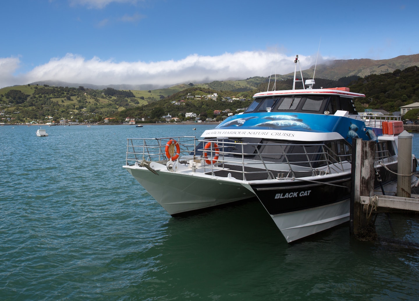 Sail by catamaran to a wildlife sanctuary island for a relaxing Bay escape. - Bay Of Islands, New Zealand