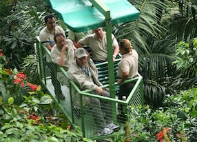 group riding aerial tram jungle