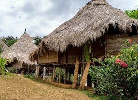 chagres national park panama april native embera people village huts an indigenous
