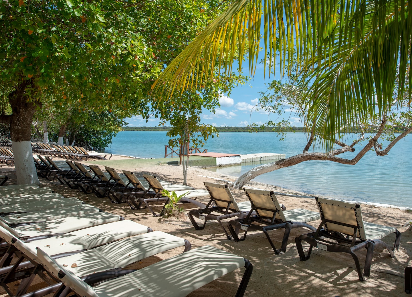 Puerto Costa Maya low season offers budget travel, cultural festivals, turtle nesting, and fewer crowds. - Puerto Costa Maya, Mexico