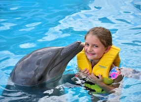 all invlusive dolphin swim experience albertos daughter dolphin kiss
