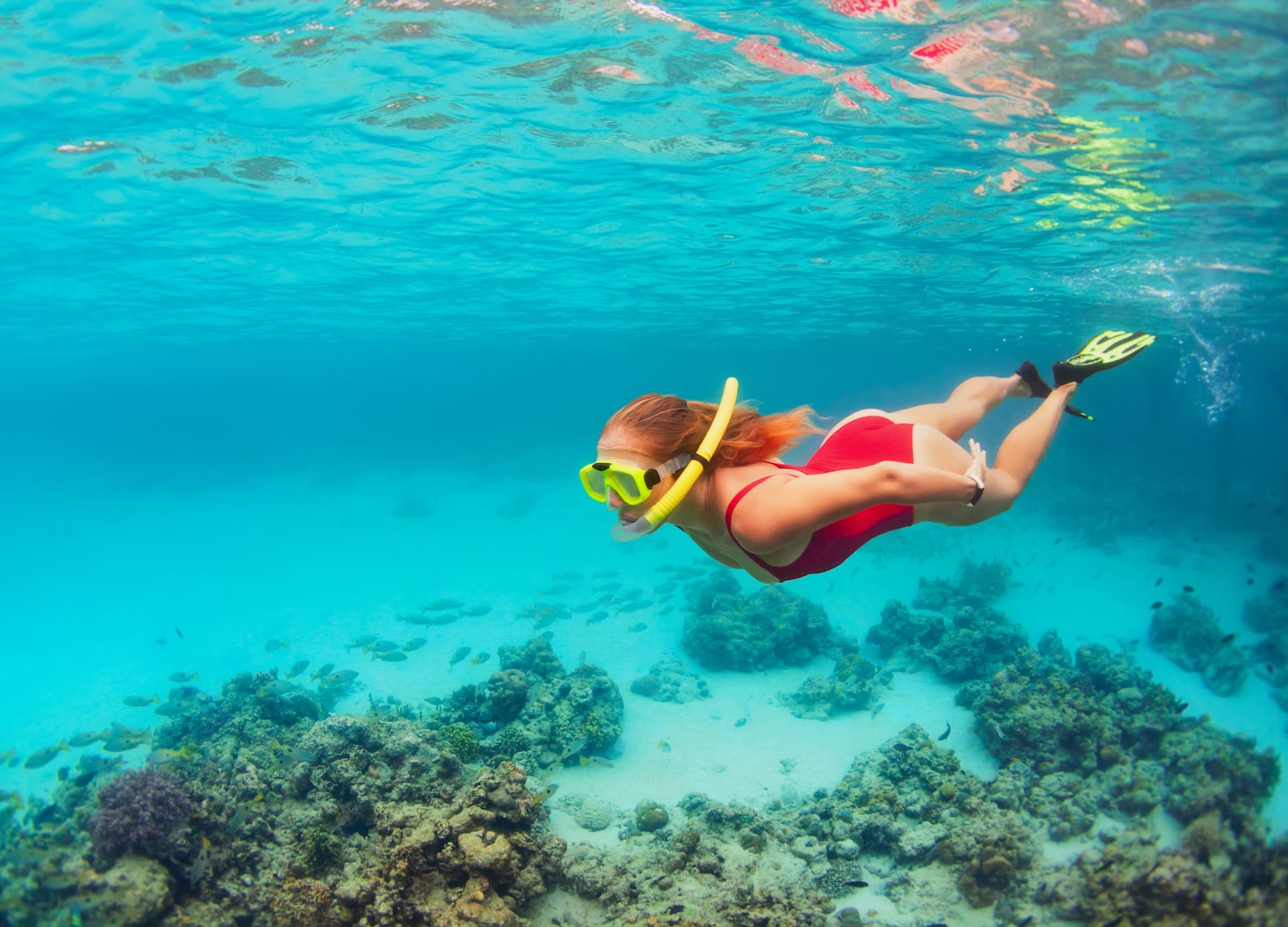 Cozumel snorkeling tours explore three reefs, vibrant marine life, and scenic coastline from a comfortable boat. - Cozumel, Mexico