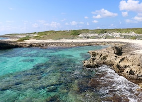 mirador coastline cozumel