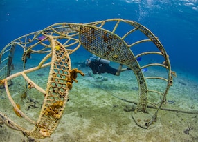 scuba diver artifical reef cozumel
