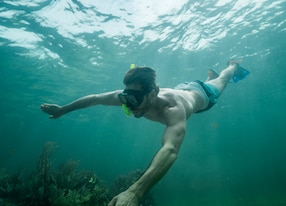man snorkel snorkeling near reef under water