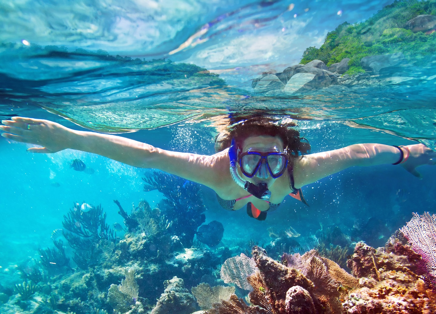 Cozumel diving excursions explore famous reefs, vibrant marine life, and suit beginners and experienced divers. - Cozumel, Mexico