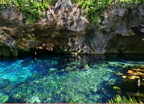 crystal clear natural limestone pool gran cenote near tulum mexiko