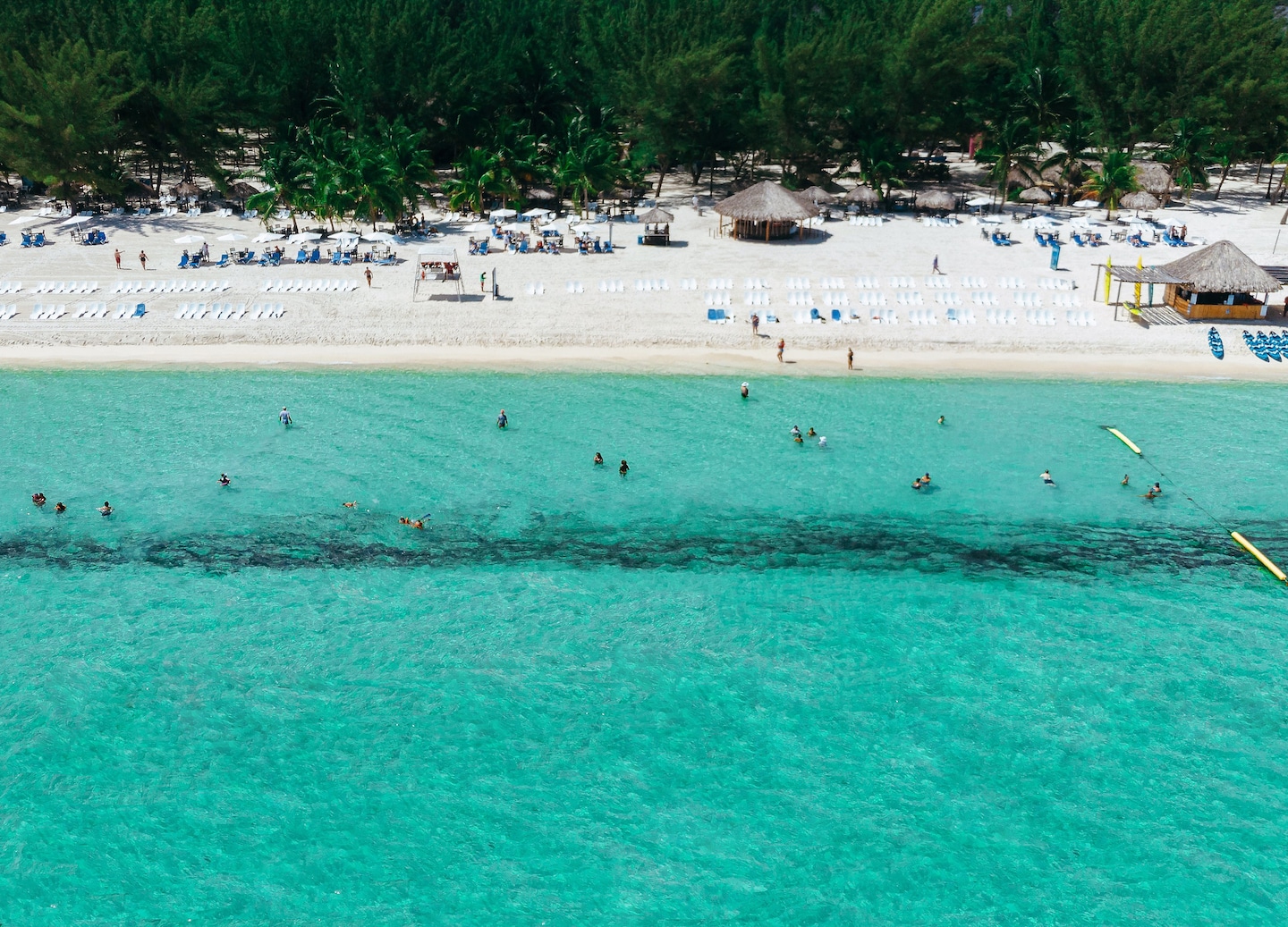 Isla Pasión offers a private beach escape with swimming, hammocks, and all-inclusive tropical dining. - Cozumel, Mexico